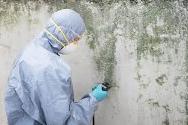 Best Mold Documentation for Insurance Claims  in Worthgton, IN